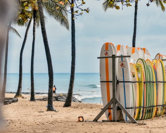 BLUE FIN for surfboards